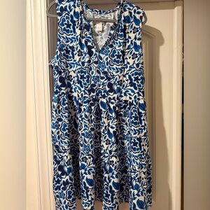 Floral Blue and White Sleeveless Dress